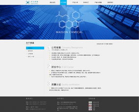 企業(yè)網(wǎng)站設(shè)計(jì)與企業(yè)策劃 構(gòu)建成功的在線品牌體系